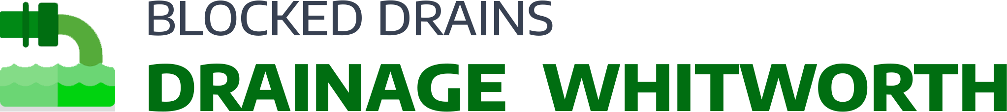 website logo